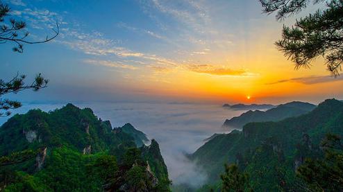 張家界森林公園（金鞭溪、袁家界、楊家界、天子山、十里畫廊）住山上2天1游（可看日出）